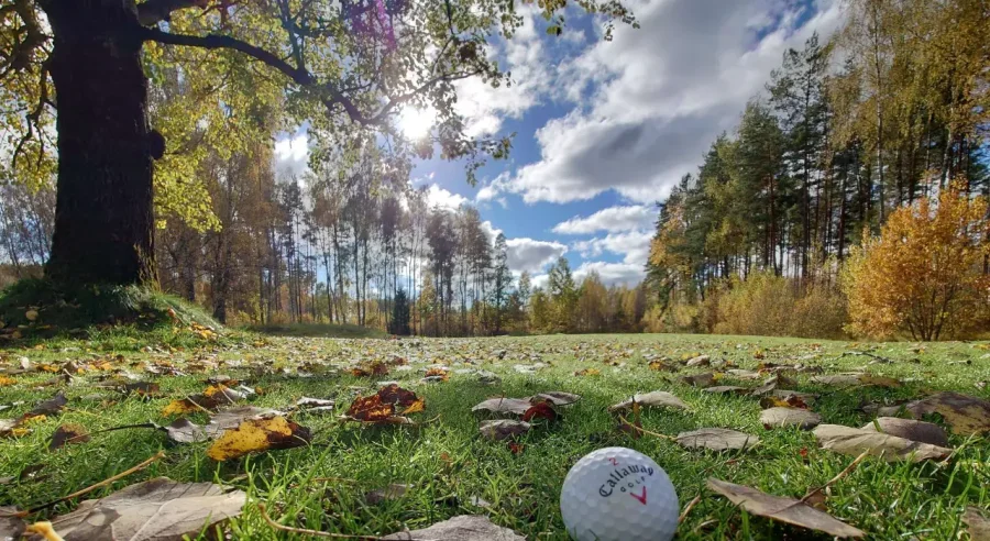 blog-header-image